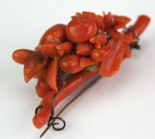 Old Chinese Carved Natural Red Salmon Branch Coral Floral Ladys Brooch Pin MSW 3