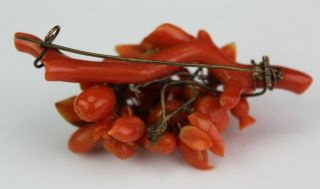 Old Chinese Carved Natural Red Salmon Branch Coral Floral Ladys Brooch Pin MSW 4