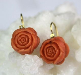 Old Chinese Carved Natural Red Salmon Branch Coral Rose Earrings W/ 14k Gold Msw