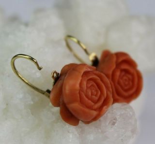 Old Chinese Carved Natural Red Salmon Branch Coral Rose Earrings w/ 14K Gold MSW 2