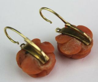 Old Chinese Carved Natural Red Salmon Branch Coral Rose Earrings w/ 14K Gold MSW 4