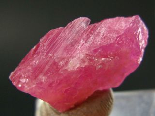 Rare Pezzottaite Pink Beryl From Madagascar - 15.  7 Carats - 1.  0 "
