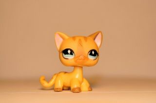 Littlest Pet Shop 886 - Tan Diamond Eye Short Hair Cat Lps - With Vest