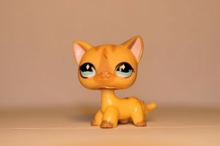 Littlest Pet Shop 886 - Tan Diamond Eye SHORT HAIR CAT LPS - with vest 2