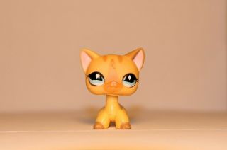 Littlest Pet Shop 886 - Tan Diamond Eye SHORT HAIR CAT LPS - with vest 3