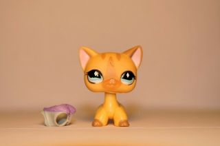 Littlest Pet Shop 886 - Tan Diamond Eye SHORT HAIR CAT LPS - with vest 4