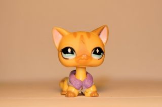 Littlest Pet Shop 886 - Tan Diamond Eye SHORT HAIR CAT LPS - with vest 5