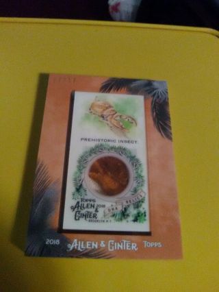 2018 Topps Allen & Ginter Prehistoric Insect " Dna " Fossil Card 17 /17 Sp Rare