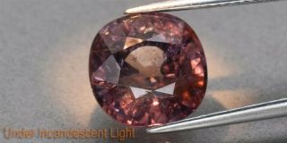 CERTIFICATE Inc.  Big Rare 7.  42ct Cushion Natural Unheated Color Change Sapphire 3