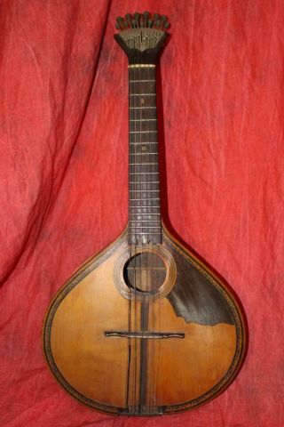 Rare Vintage 12 String Mandolin/lute With Peacock Fan Tuners Rosewood Body