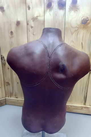Vintage,  Rare Male Mannequin Torso Form with Stand 3
