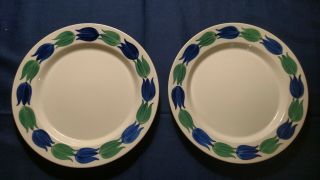 2 Vintage Handpainted Arabia Of Finland " Birca " Salad Plates Raija Uosikkinen