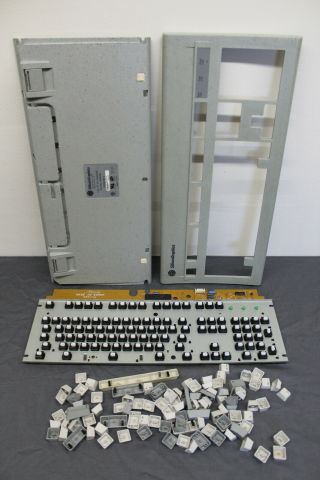 RARE Vintage Silicon Graphics SGI AT101 Grey Keyboard ALPS 9500900 BIGFOOT 6