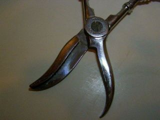 VINTAGE STERLING HANDLED ITALIAN GRAPE SCISSORS OR FRUIT SHEARS 6