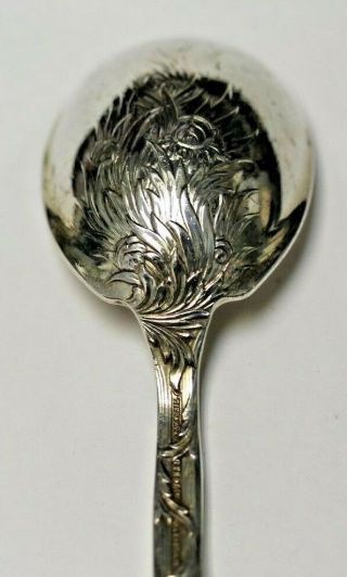 Chrysanthemum by Tiffany & Co.  Sterling Silver Sugar Spoon 5¾ 