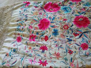 Vintage Edwardian Chinese Silk Embroidered Shawl 12