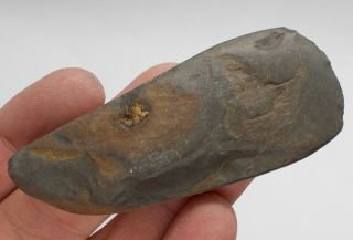 Neolithic Stone Axe Head Western Sahara Artifacts Uk Seller Ref Mq4.  Ax1