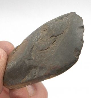 Neolithic Stone Axe Head Western Sahara artifacts UK Seller Ref MQ4.  AX1 4