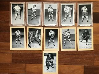 11 Vintage Bee Hive Hockey Photos Buy It Now Takes All