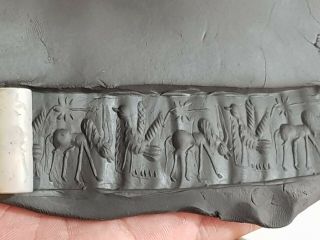 Fantastic Intact Rare Near Eastern Cylinder Seal Pendant With Animal.  7,  1 Gr.  29mm