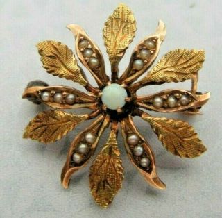 Antique Victorian 14k Yellow Gold Poinsettia Bloom W/ Opal & Seed Pearls Brooch