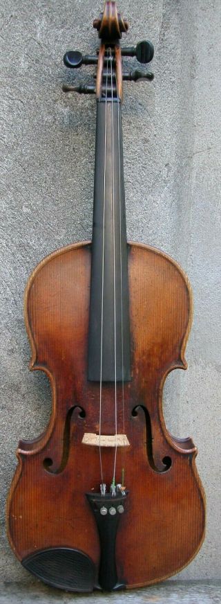Antique Strad Cremonenfis 4/4 Violin 23x8 
