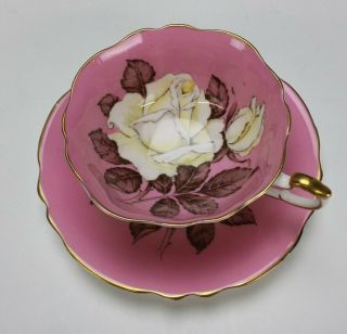 Vintage Paragon Floating White Cabbage Rose Pink Porcelain Teacup Saucer Nr Sjs