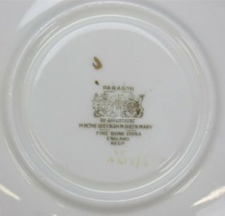 Vintage Paragon Floating White Cabbage Rose Pink Porcelain Teacup Saucer NR SJS 6