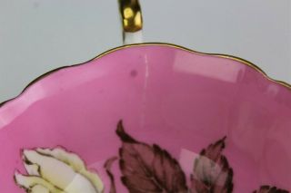 Vintage Paragon Floating White Cabbage Rose Pink Porcelain Teacup Saucer NR SJS 7