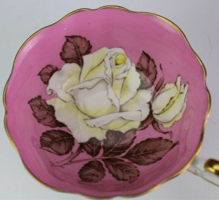 Vintage Paragon Floating White Cabbage Rose Pink Porcelain Teacup Saucer NR SJS 8