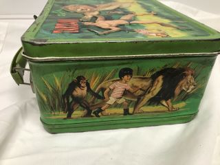 RARE Vtg.  1966 Tarzan Metal Lunch Box With Matching Steel /Glass Thermos 3
