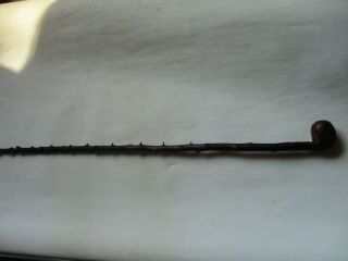Antique Irish Blackthorn Cane Burl Knot Walking Stick Vintage Shillelagh