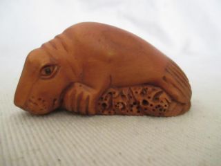 A6 Netsuke Japanese Hand Crafted In Fruit Wood Figurine Walrus