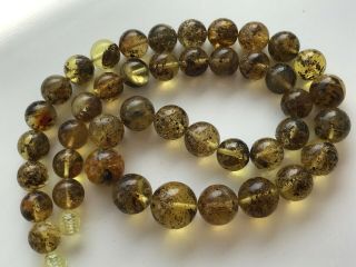 Natural Vintage Amber Beads Antique Baltic Old Necklace 33.  26 gr 3