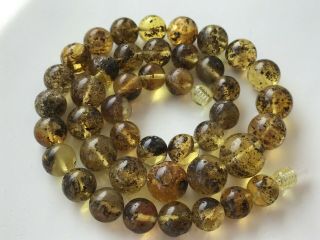 Natural Vintage Amber Beads Antique Baltic Old Necklace 33.  26 gr 4