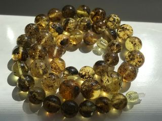 Natural Vintage Amber Beads Antique Baltic Old Necklace 33.  26 gr 5