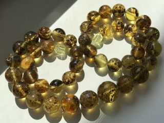 Natural Vintage Amber Beads Antique Baltic Old Necklace 33.  26 gr 6