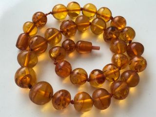 Rare Natural Vintage Amber Beads Antique Baltic Old Necklace 32.  72 Gr