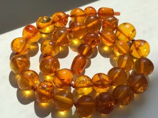 RARE Natural Vintage Amber Beads Antique Baltic Old Necklace 32.  72 gr 6
