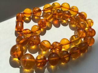 RARE Natural Vintage Amber Beads Antique Baltic Old Necklace 32.  72 gr 7