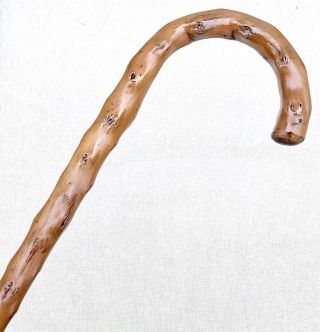 Vintage Antique 1800’ Fat Irish Blackthorn Shillelagh Horn Walking Stick Cane