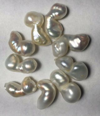 Vintage Mississippi River Pearls White Twins - Find Rare 9 Pearls