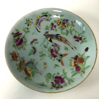 19th Century Chinese Famille Rose Celadon Plate W/ Bird Flower Decoration