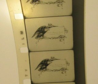 16mm film FOOLISH FOLLIES 1929 Van Beuren vintage sound cartoon B/W aesops fable 3
