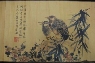 380cm Vintage Chinese Scroll Hand Painting Flower Bird " Hexiangning " Marks