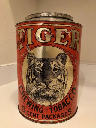 Large Vintage Advertising Tiger Chewing Tobacco Tin