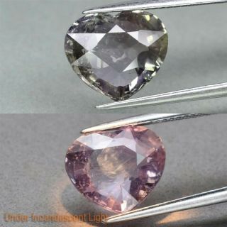 Certificate Inc.  Big Rare 6.  15ct Heart Natural Unheated Color Change Sapphire
