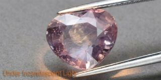 CERTIFICATE Inc.  Big Rare 6.  15ct Heart Natural Unheated Color Change Sapphire 3