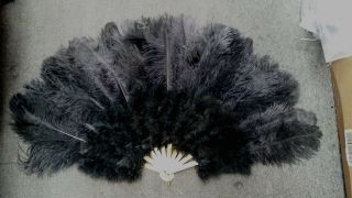 21 X 35 Inches Large Burlesque Dance Feather Fan Bridal Bouquet,  Ostrich,  Black