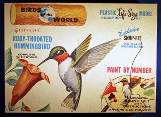 Vintage Bachmann Birds Of The World Hummingbird Model Kit 9017 - 100